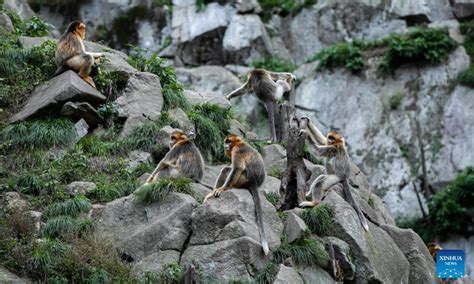 玉合公園裡的四季美景該如何評價